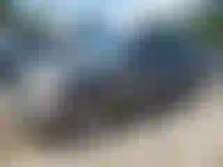 Vehicle Image- 2005 Ford F-150