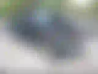 Vehicle Image- 2009 Ford F-150