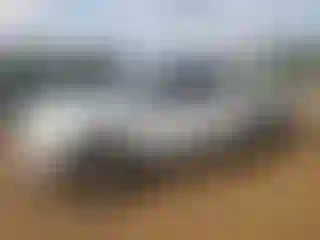 Vehicle Image- 2009 Ford F-150