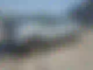 Vehicle Image- 2009 Ford F-150