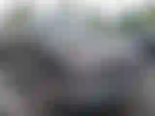 Vehicle Image- 2007 Ford F-150