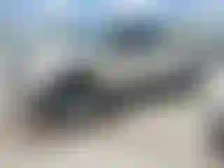 Vehicle Image- 2009 Ford F-150