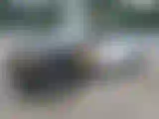 Vehicle Image- 2009 Ford F-150