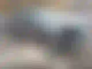 Vehicle Image- 2009 Ford F-150