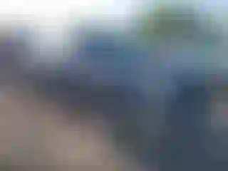 Vehicle Image- 2004 Ford F-150