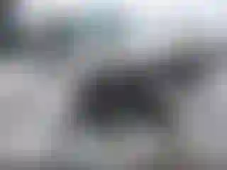 Vehicle Image- 2005 Ford F-150