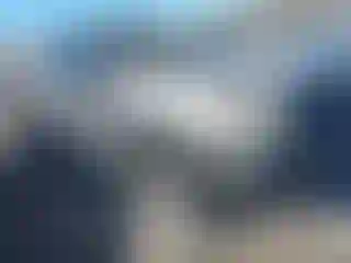 Vehicle Image- 2006 Ford F-150