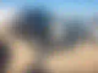 Vehicle Image- 2006 Ford F-150