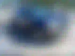 Vehicle Image- 2006 Ford F-150