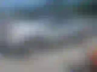 Vehicle Image- 2004 Ford F-150