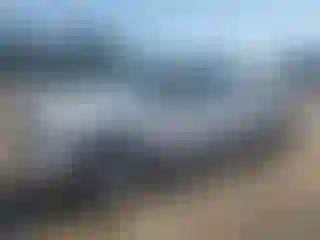 Vehicle Image- 2004 Ford F-150