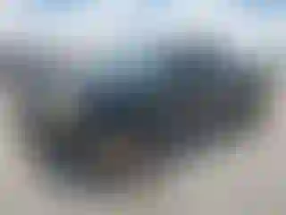 Vehicle Image- 2007 Ford F-150