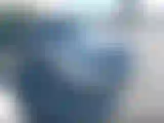 Vehicle Image- 2008 Ford F-150