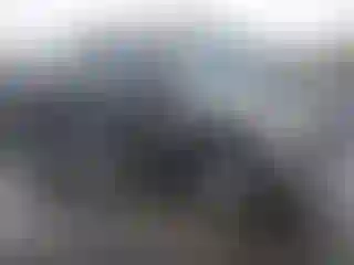 Vehicle Image- 2004 Ford F-150