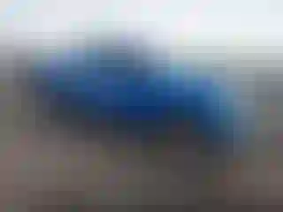 Vehicle Image- 2009 Ford F-150