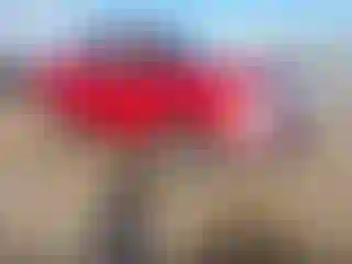 Vehicle Image- 2009 Ford F-150