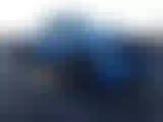 Vehicle Image- 2009 Ford F-150