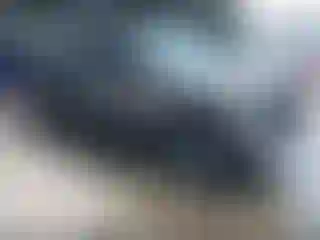 Vehicle Image- 2009 Ford F-150