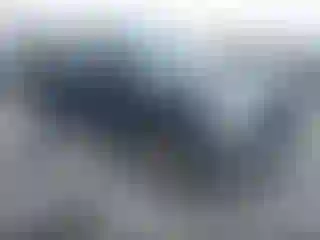 Vehicle Image- 2004 Ford F-150