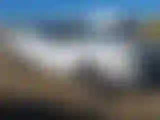 Vehicle Image- 2005 Ford F-150