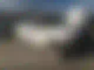 Vehicle Image- 2006 Ford F-150