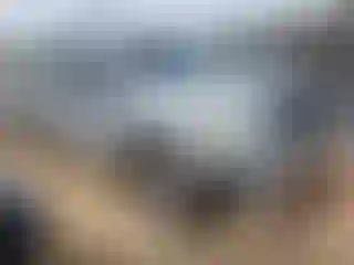 Vehicle Image- 2004 Ford F-150