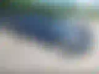Vehicle Image- 2004 Ford F-150