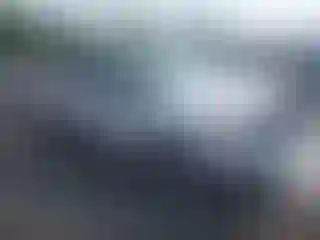 Vehicle Image- 2004 Ford F-150