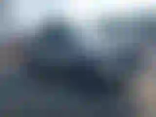 Vehicle Image- 2005 Ford F-150