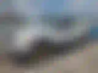 Vehicle Image- 2008 Ford F-150