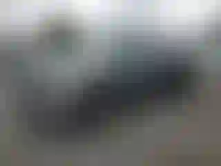 Vehicle Image- 2002 Ford F-150