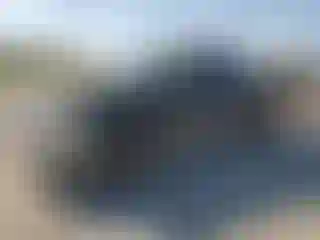 Vehicle Image- 2002 Ford F-150