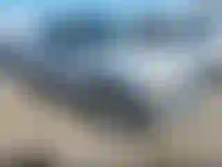 Vehicle Image- 2002 Ford F-150