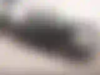 Vehicle Image- 1998 Ford F-150