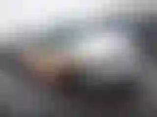 Vehicle Image- 2001 Ford F-150