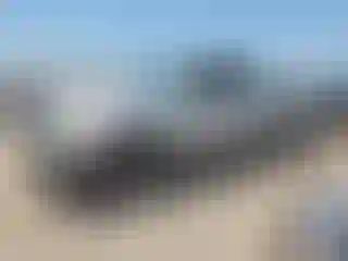 Vehicle Image- 2002 Ford F-150