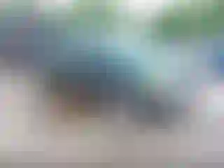 Vehicle Image- 2000 Ford F-150