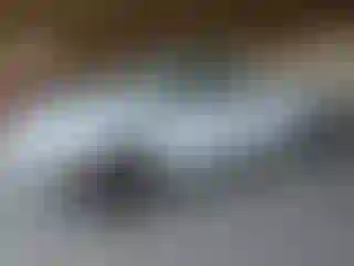 Vehicle Image- 2000 Ford F-150