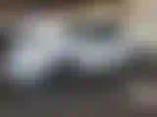 Vehicle Image- 2003 Ford F-150