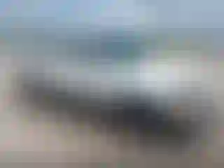 Vehicle Image- 2002 Ford F-150