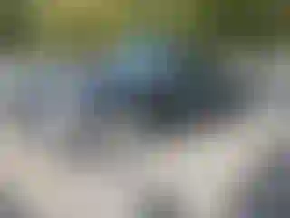 Vehicle Image- 2003 Ford F-150