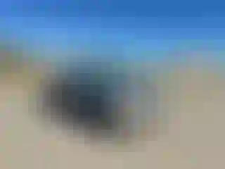 Vehicle Image- 2003 Ford F-150