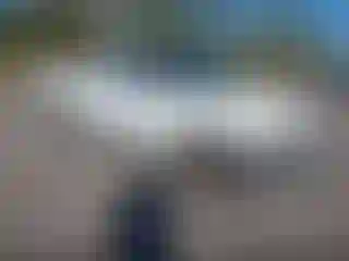 Vehicle Image- 1999 Ford F-150