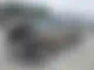 Vehicle Image- 2002 Ford F-150