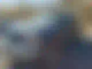 Vehicle Image- 2000 Ford F-150