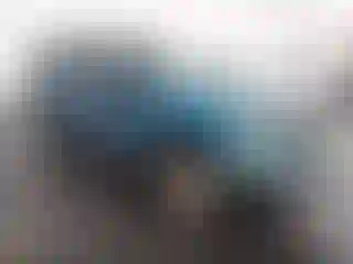 Vehicle Image- 2000 Ford F-150