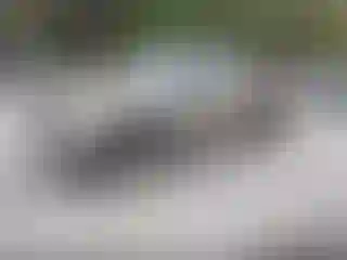 IMPORTOWO.pl