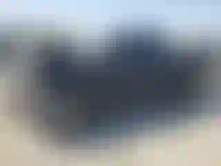 Vehicle Image- 2001 Ford F-150