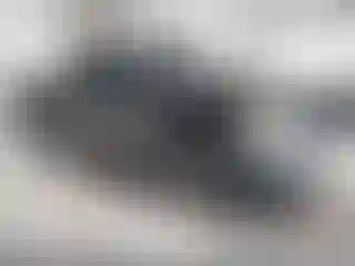 Vehicle Image- 1999 Ford F-150