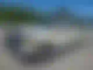 Vehicle Image- 2003 Ford F-150